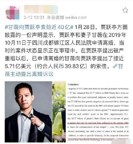 甘薇与贾跃亭的婚姻真相，假离婚还是真情不变？_最佳精选