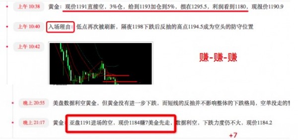 2024新澳精准资料大全,反馈实施和执行力_Holo27.246