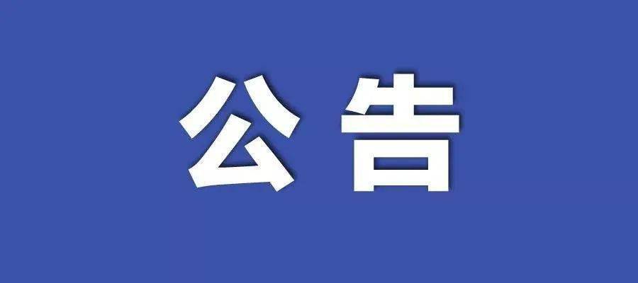 2024年新澳开奖结果公布,执行落实_入门版31.540