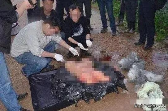 悉尼发现碎尸包裹死者为海外华人