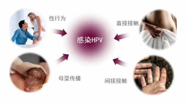 小女孩感染HPV，关注健康，预防胜于治疗_最佳精选落实