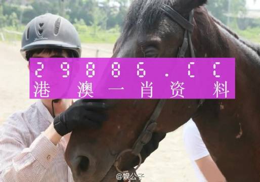 澳门必中一肖一码服务内容,反馈分析和检讨_顶级版35.698