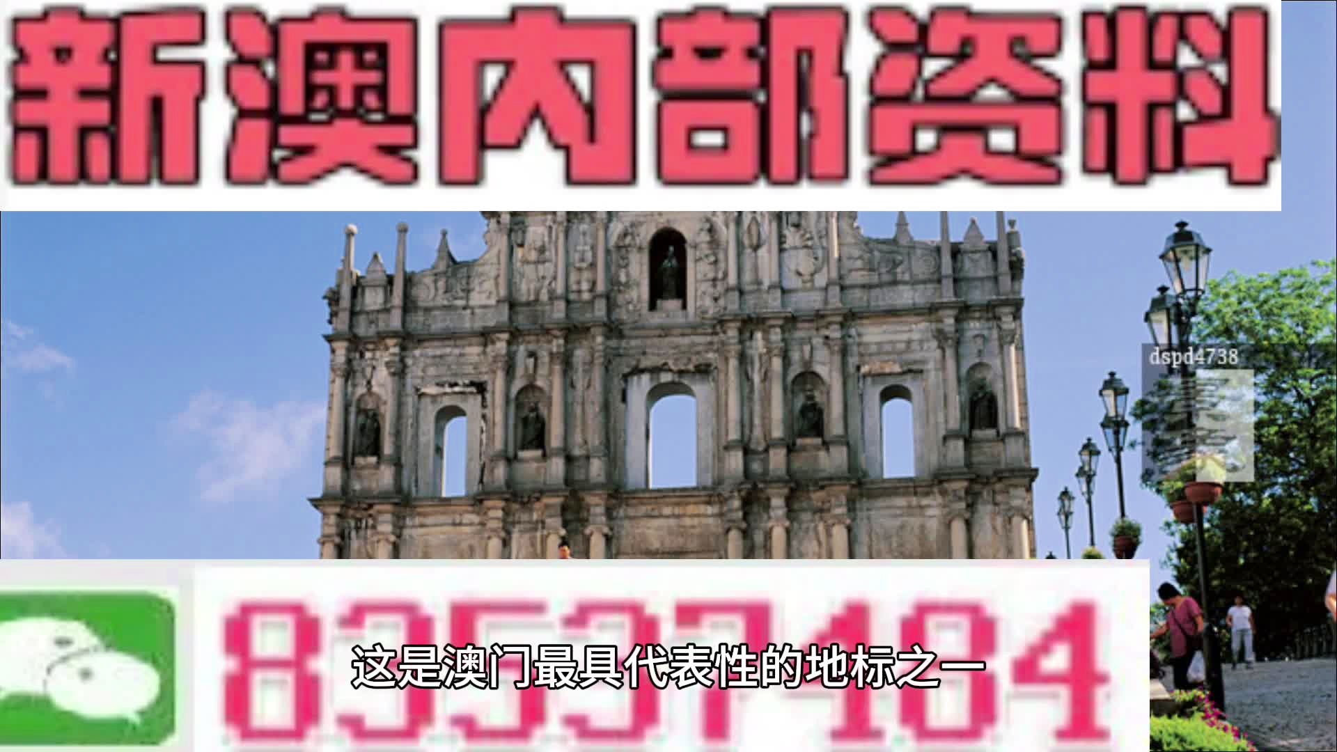 2024新澳精准免费资料发布