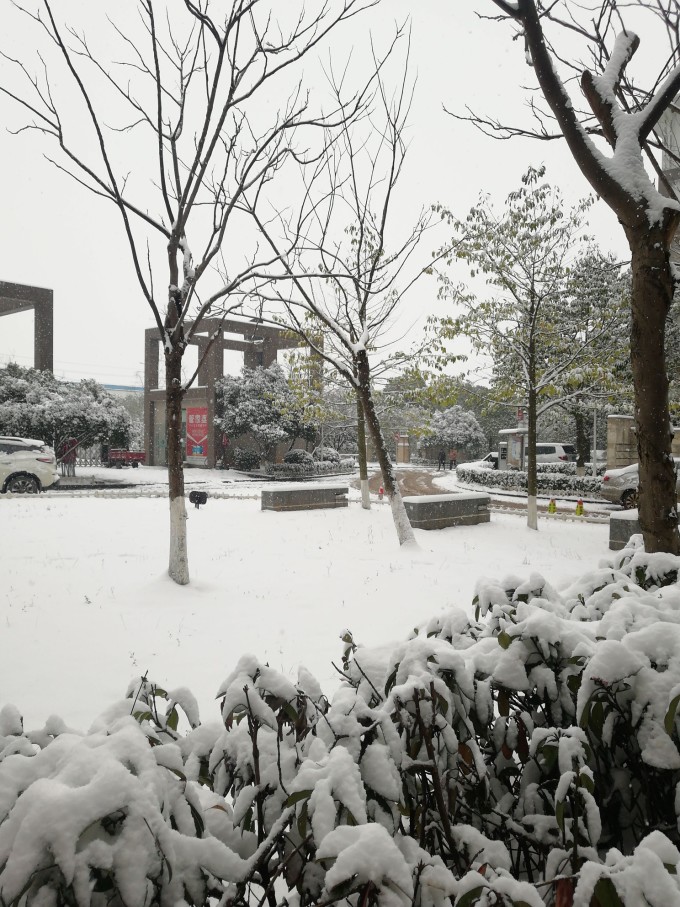 长沙的雪景，冬日里的浪漫与惊喜_解释定义