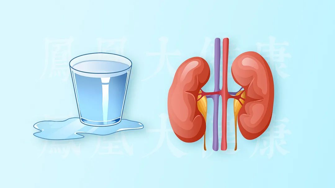 喝水后有四种表现提示你的肾可能有问题_全面解答