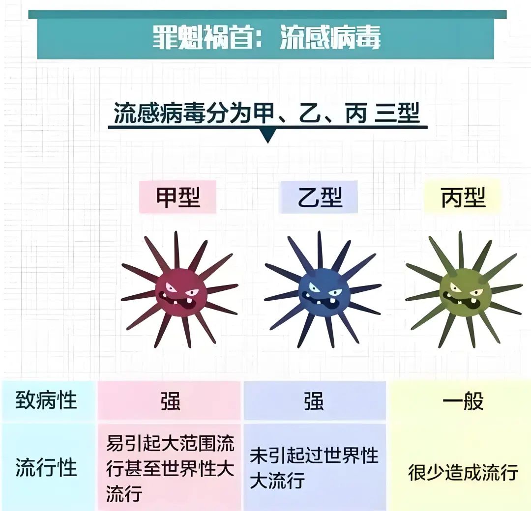 流感毒株揭秘，究竟是何方神圣？