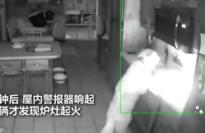 宝妈惊现卧室监控，半夜被陌生人喊话的背后故事