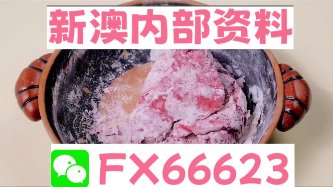 新澳门内部一码精准资料公开,详细说明和解释_专属款63.189