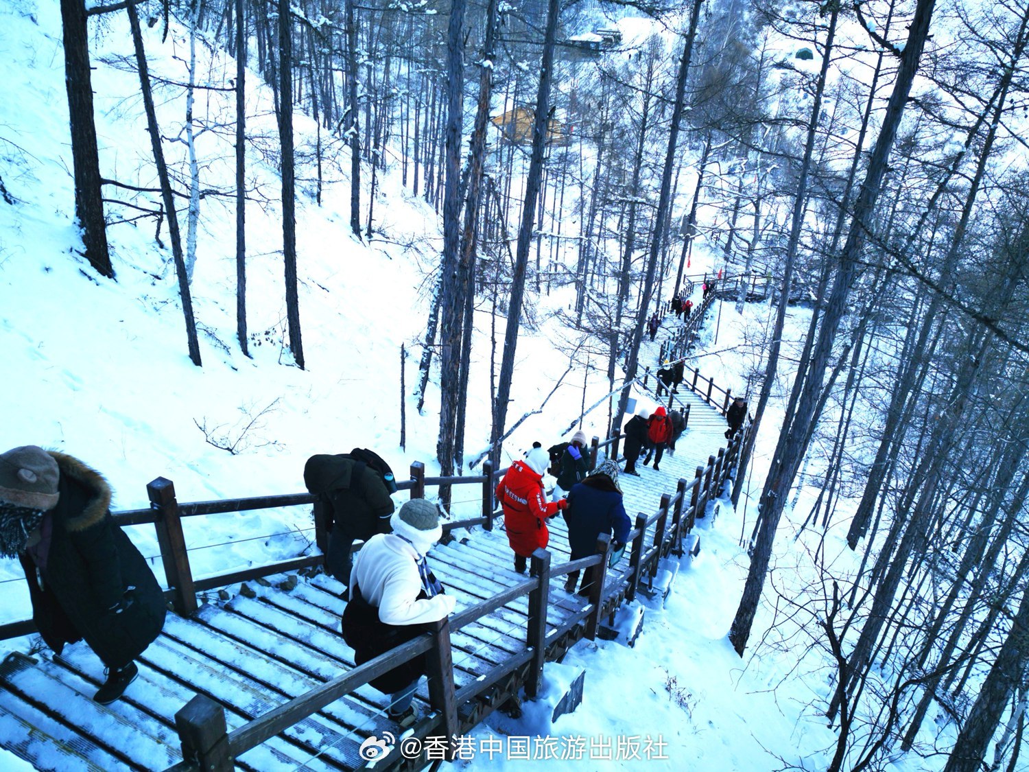 南方游客扎堆去东北，探秘冰天雪地的魅力之旅