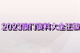 2023管家婆资料正版大全澳门——效率解答解释落实