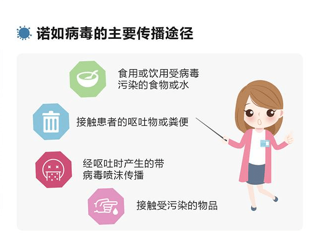 近期学校感染诺如病毒，防控挑战与应对策略