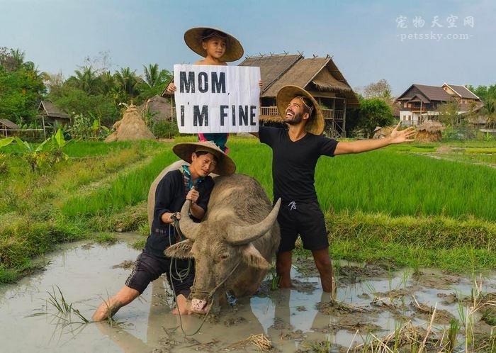 小猫意外触发辞职报告发送键的奇妙经历