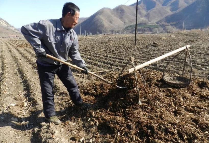 革新传统体检方式，大豆酱替代粪便检测