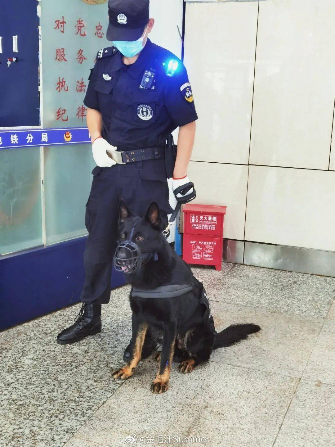 通报！四只警犬上班摸鱼、四处尿尿，引发关注热议