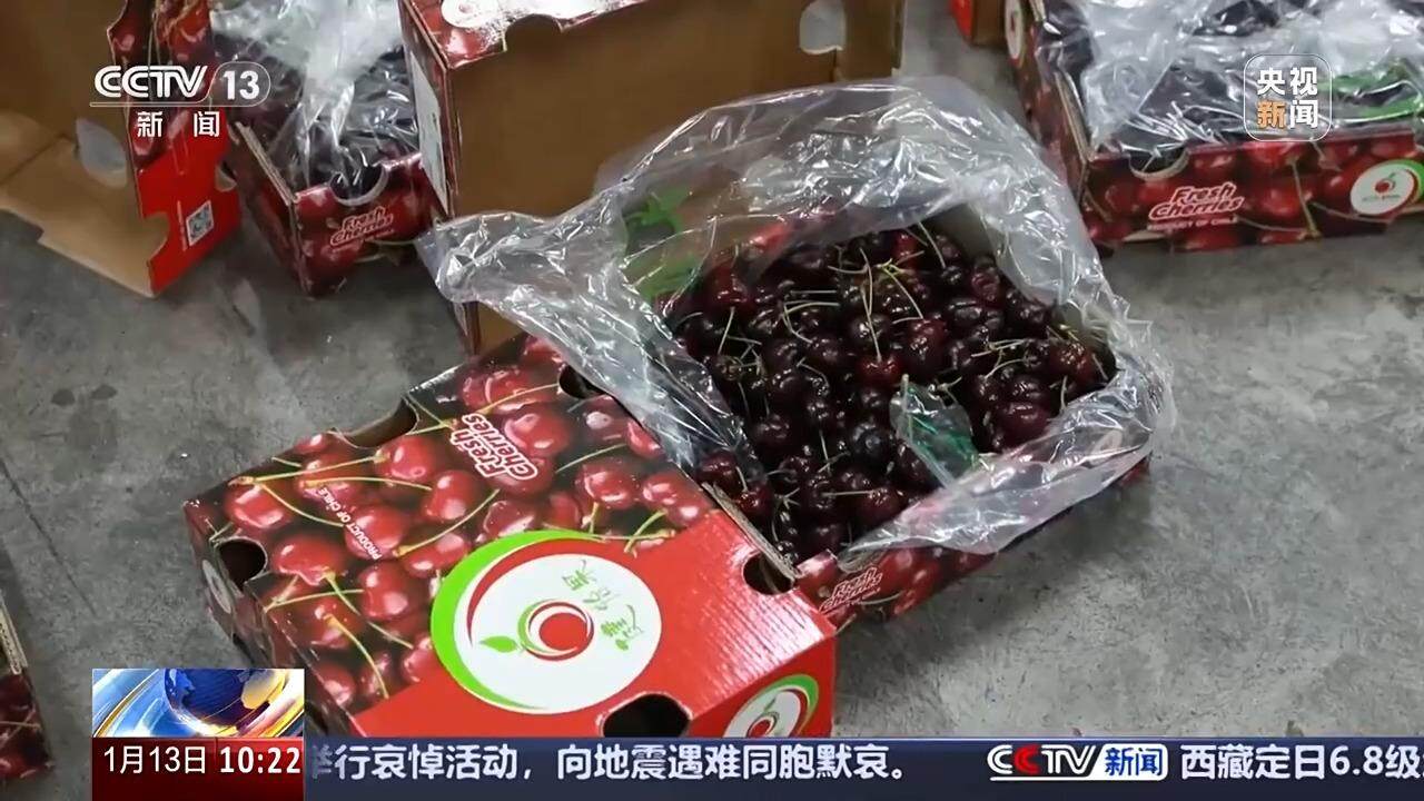 2万吨智利车厘子运抵中国