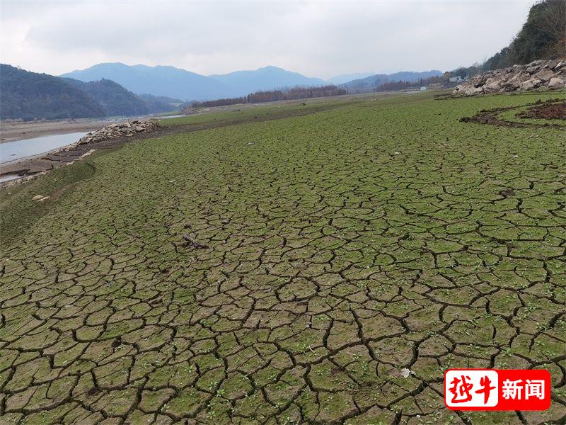 杭州等地遭遇重旱，挑战与应对策略