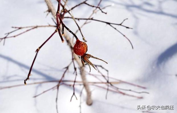 都四九天了，今年还会冷吗？