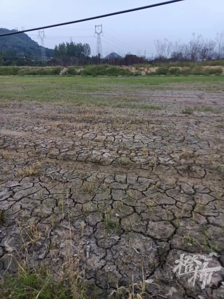 杭州等地遭遇重旱，挑战与应对之策