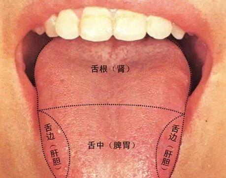 男子分享撞墙功后舌底青筋对比，见证身体变化的奇迹