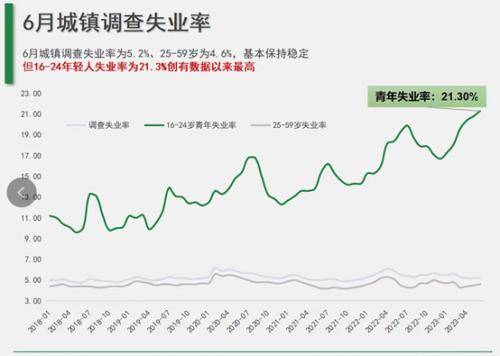 聚焦青年失业现象，解读十二月龄至二十四岁劳动力失业率为15.7%的挑战与机遇