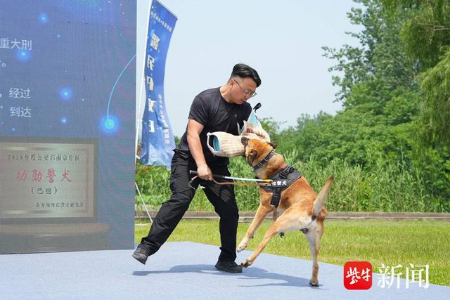 潘宏基地另一网红狗疑被咬死事件引发关注热议