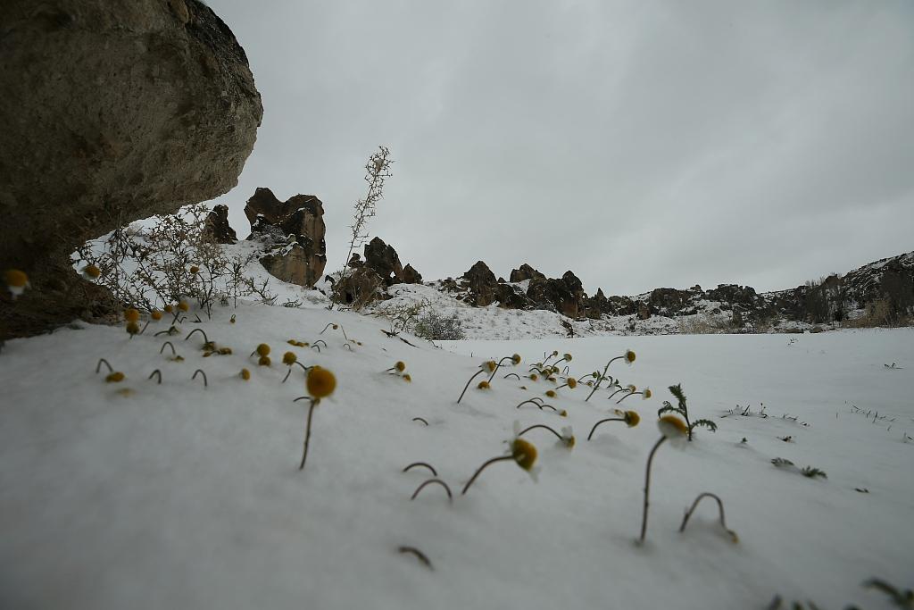 土耳其一滑雪场酒店火灾悲剧致66人死亡，惨痛事件的反思与启示