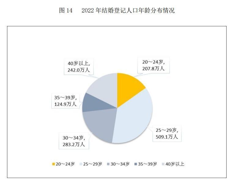 聚焦当下青年现象，25至29岁未婚人数过半