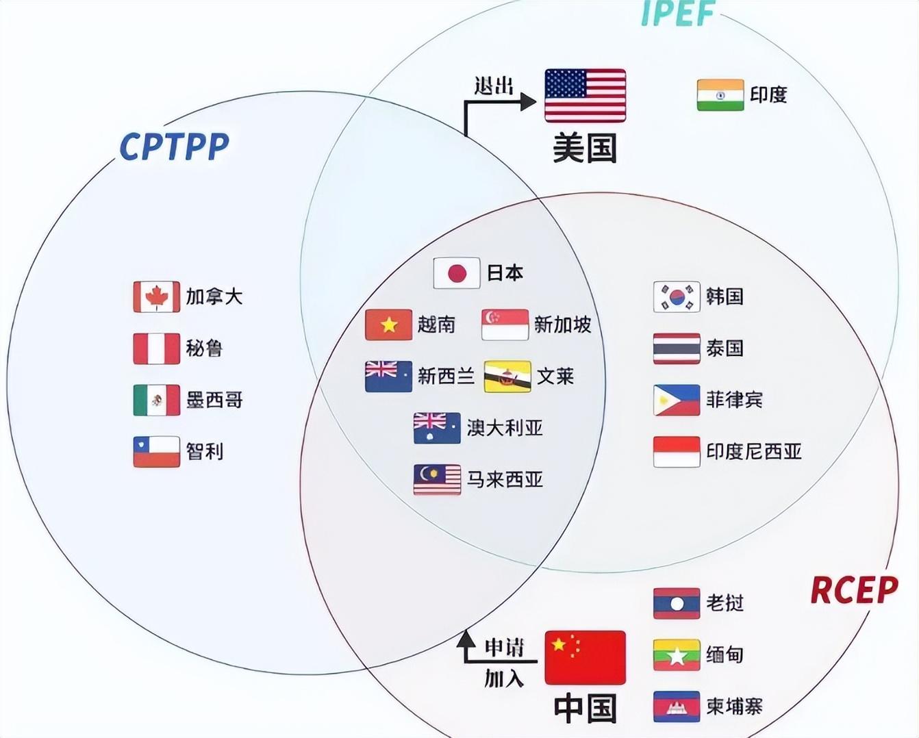 墨加双双宣布对美反制措施，重塑全球贸易平衡的挑战