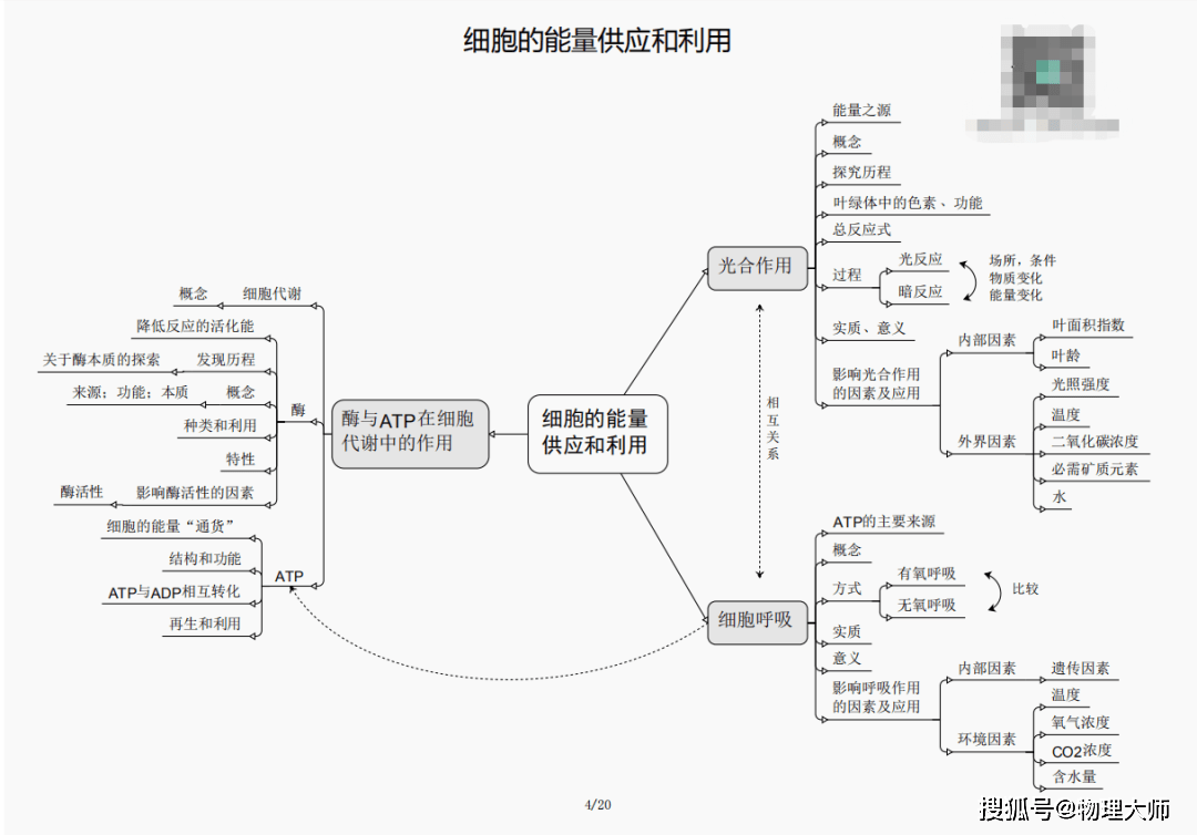 新澳门三期内必出生肖——全面解释落实