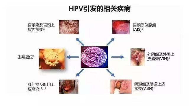 第1083页