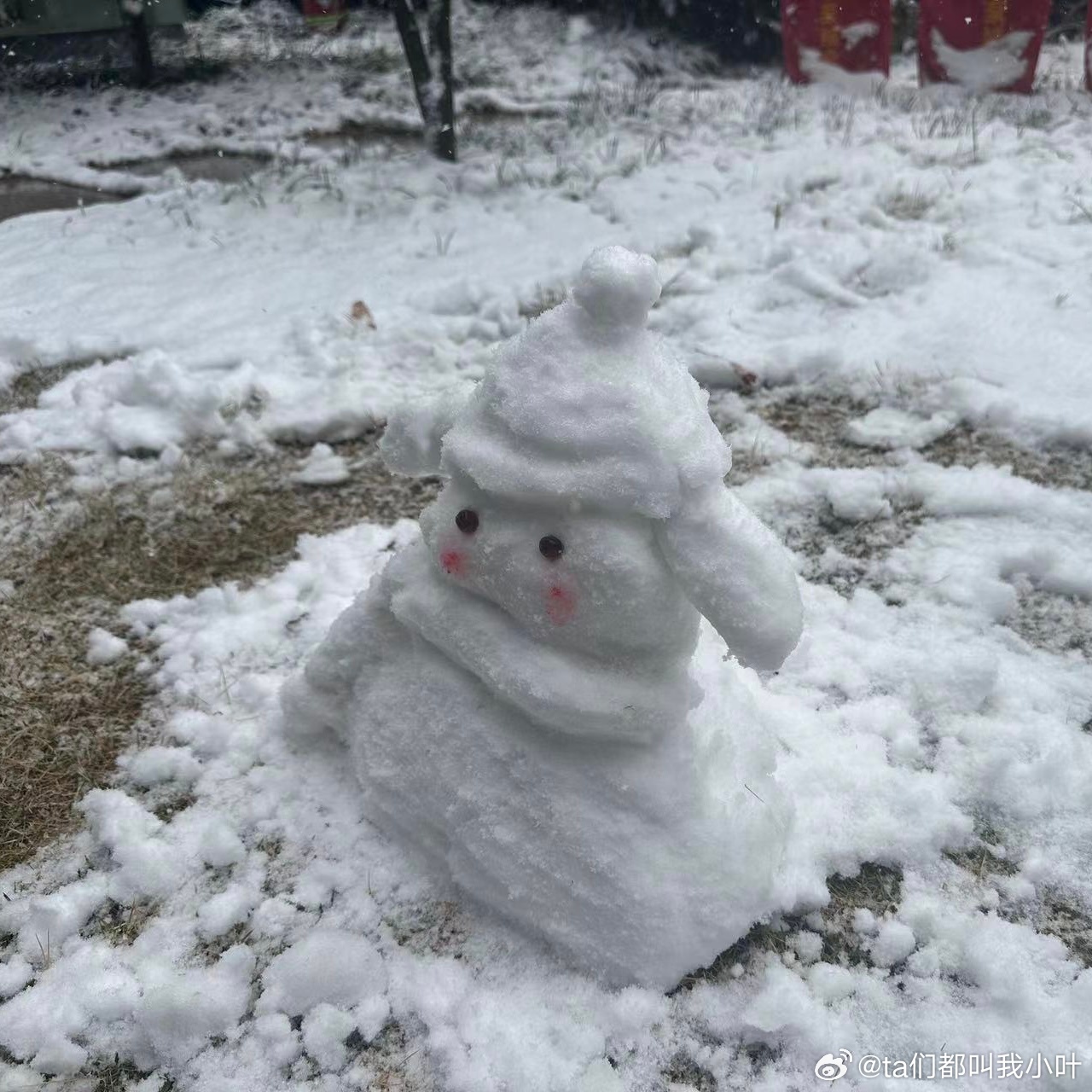 浙江一户一雪人梦想成真，背后的故事与未来展望