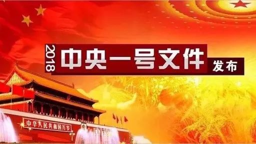 重磅！今年中央一号文件聚焦六大群体，新政策红利你get了吗？