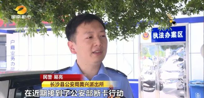 独家揭秘民警运用高科技DeepSeek成功寻回失马，这背后究竟有何神秘力量？