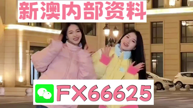 揭秘！管家婆一码资料免费公开，动态词语解释与创新版13.328带来的震撼变化！