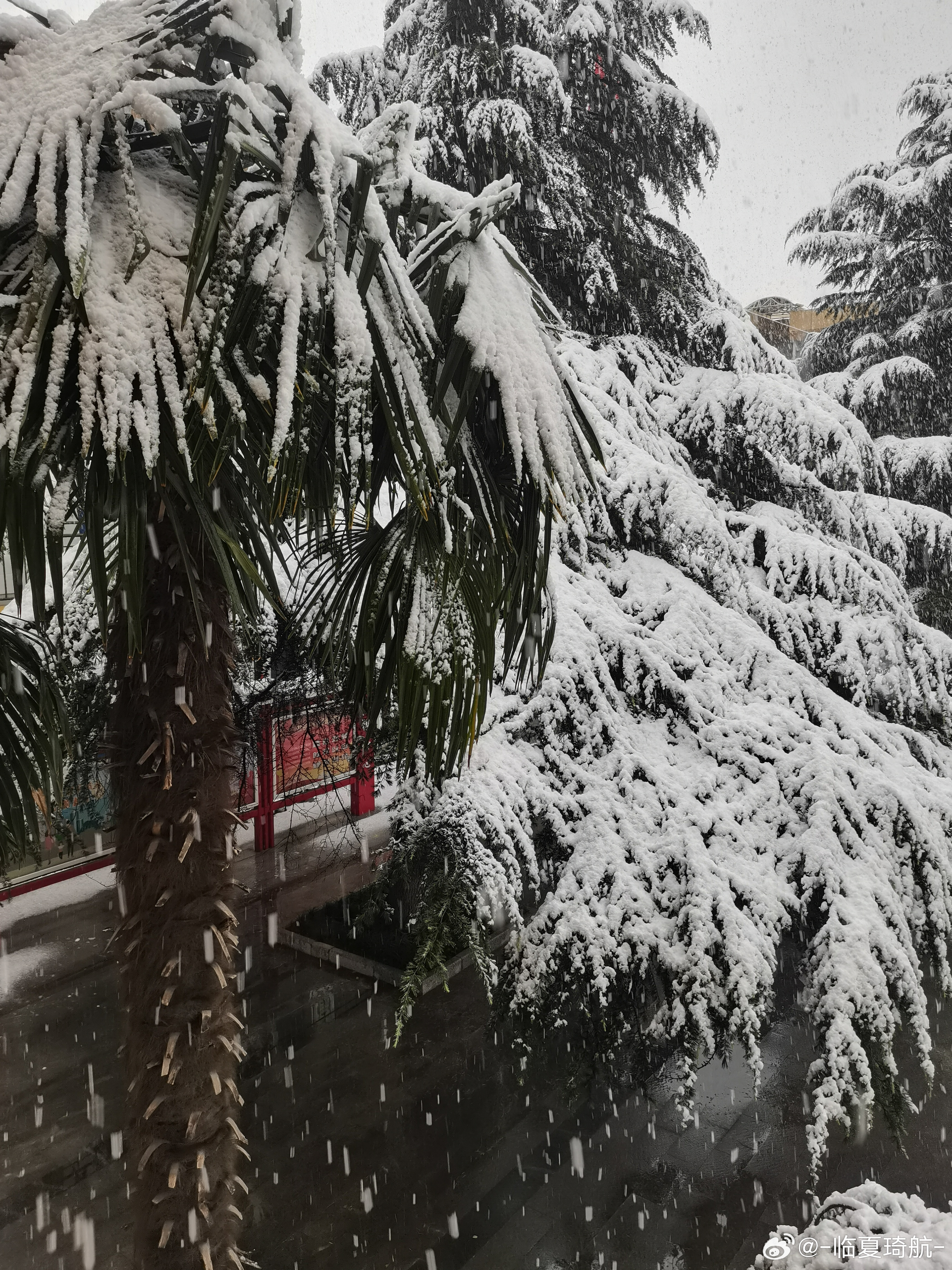 雪舞济南，一场震撼心灵的白雪奇缘