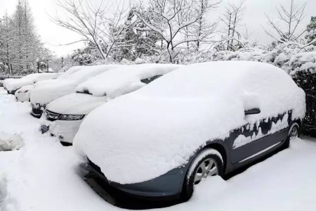 汽车雪天任性行驶，溅雪伤路人！真相究竟如何？