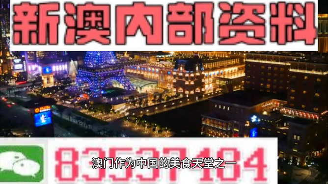 澳门精准正版免费大全，揭秘HT63.962的反馈记录与整理之谜！