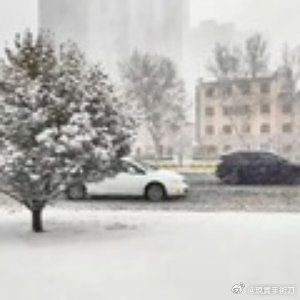 山东多地遭遇罕见暴雪，积雪深度惊人达13厘米——雪灾背后的真相与影响