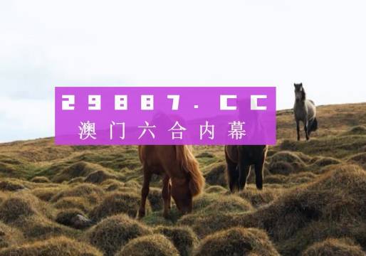 揭秘！精准马料资料免费大全，如何利用反馈执行和跟进，助力粉丝款43.634的成功！