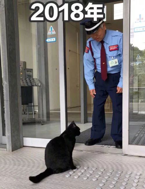 校园新保安机器狗震撼来袭，未来校园安全新篇章即将开启！