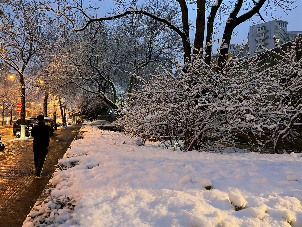 北京春雪飘飞，古都的浪漫与奇迹