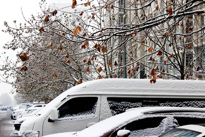 北京竟然下雪了