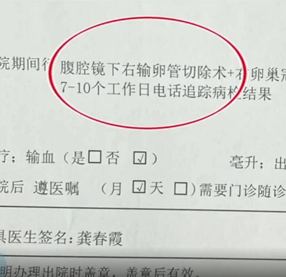 夫妻试管梦碎，输卵管遭切除引发社会热议！究竟发生了什么？