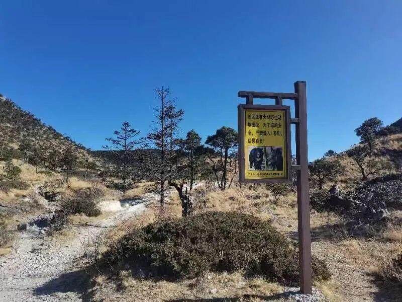 玉龙雪山回应多位游客拍到雪崩