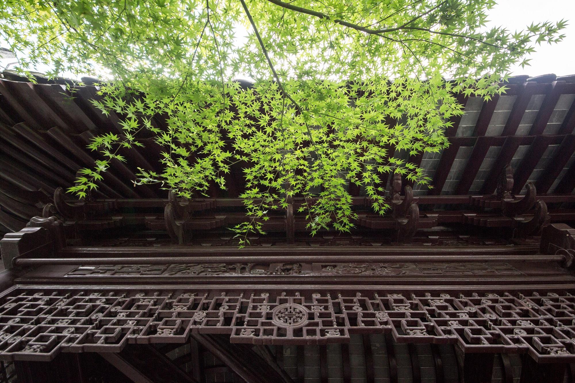 长沙，四代人的坚守，139年如一日守护左宗棠墓，传承历史使命！