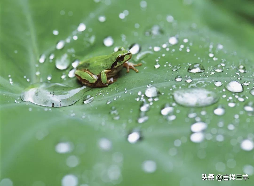 炎炎夏日，准备开始热热热——一场激情与奋斗的热浪来袭！