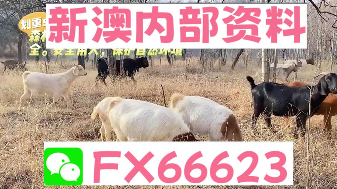 惊爆！新澳2025今晚开奖资料四不像揭秘，定制版13.883竟藏惊天玄机！