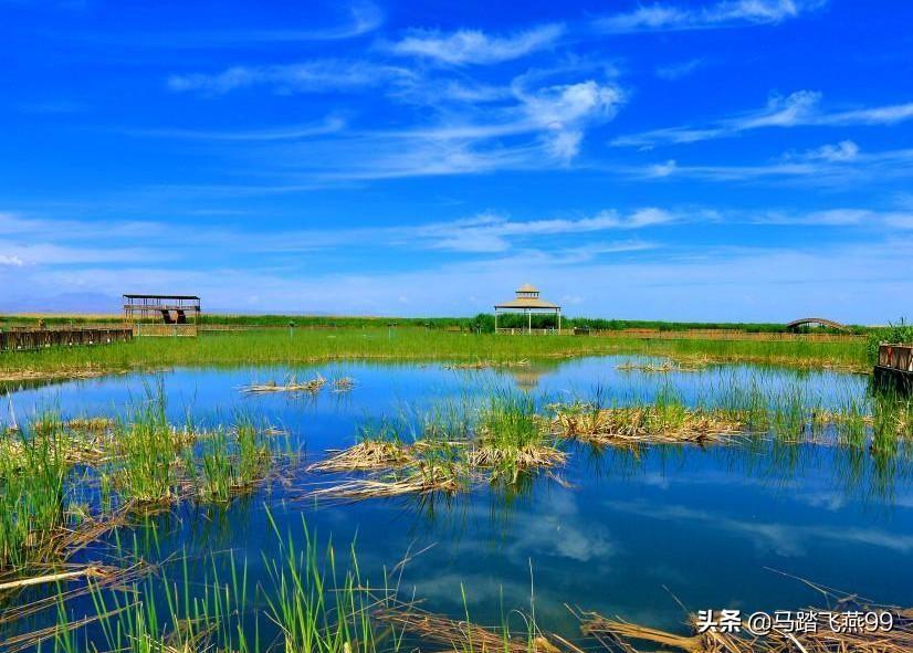 景区惊现奇特招聘，招募百名姜太公，上班竟可睡觉？！神秘内幕深度揭秘